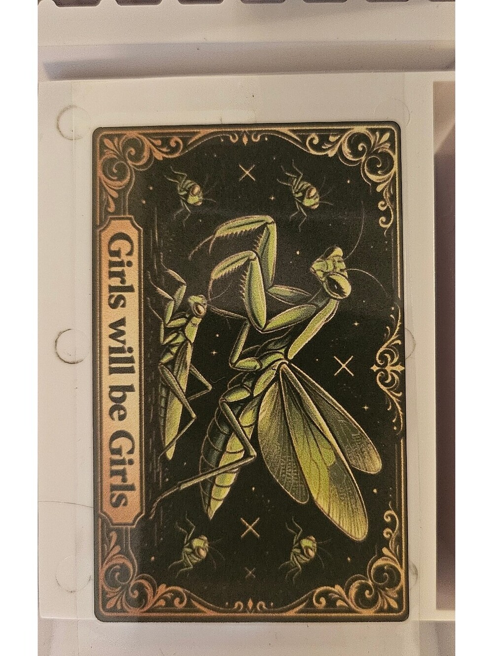 Girls will be Girls preying mantis - no chip Credit/Debit Card Skin Sticker NEW